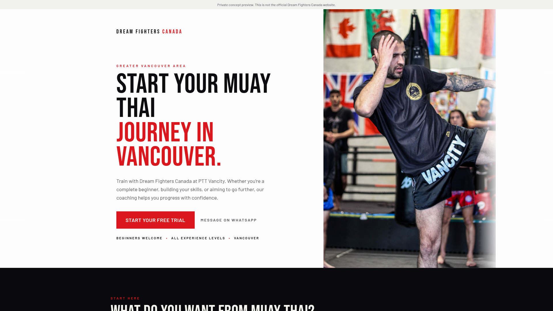 Dream Fighters live website homepage